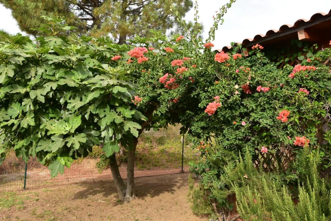테르테니아 Casa Flora E Casa Aurora 빌라 0*,  이탈리아