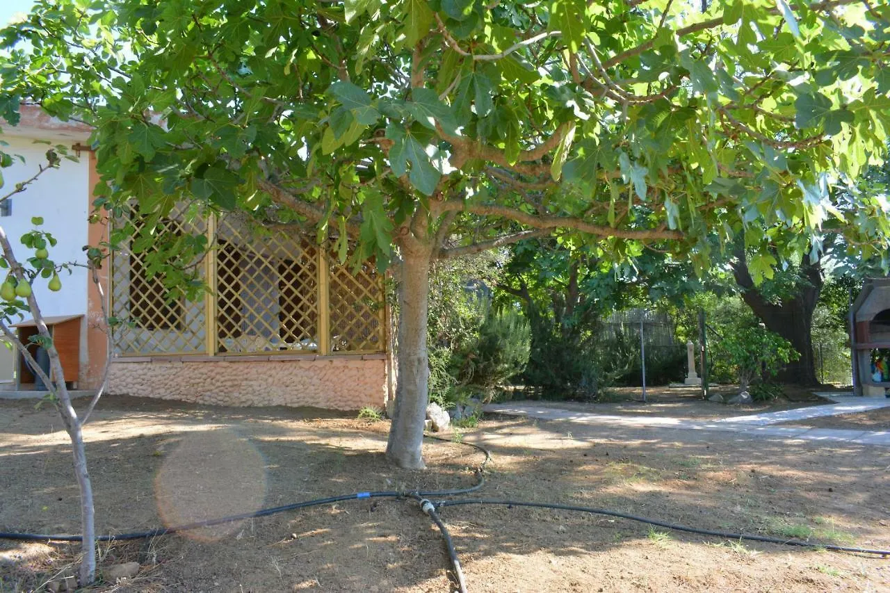 Feriehus Casa Flora E Casa Aurora Villa Tertenìa