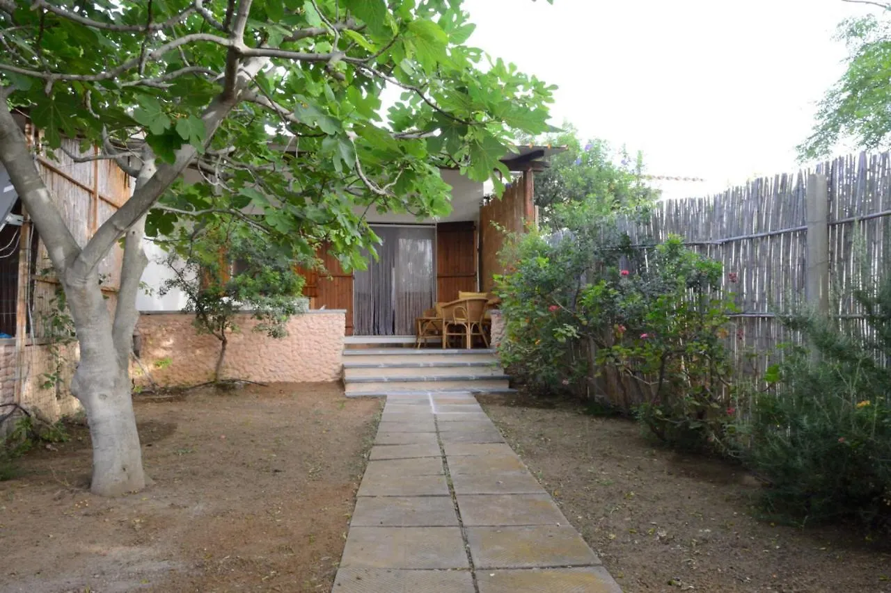 Feriehus Casa Flora E Casa Aurora Villa Tertenìa Italien