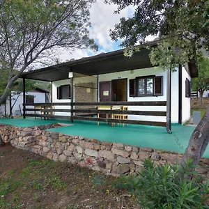 Kemp Villaggio Tesonis, Tertenìa